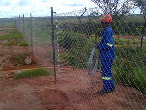 Diamond Mesh Fencing