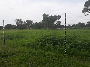 Electric Fencing